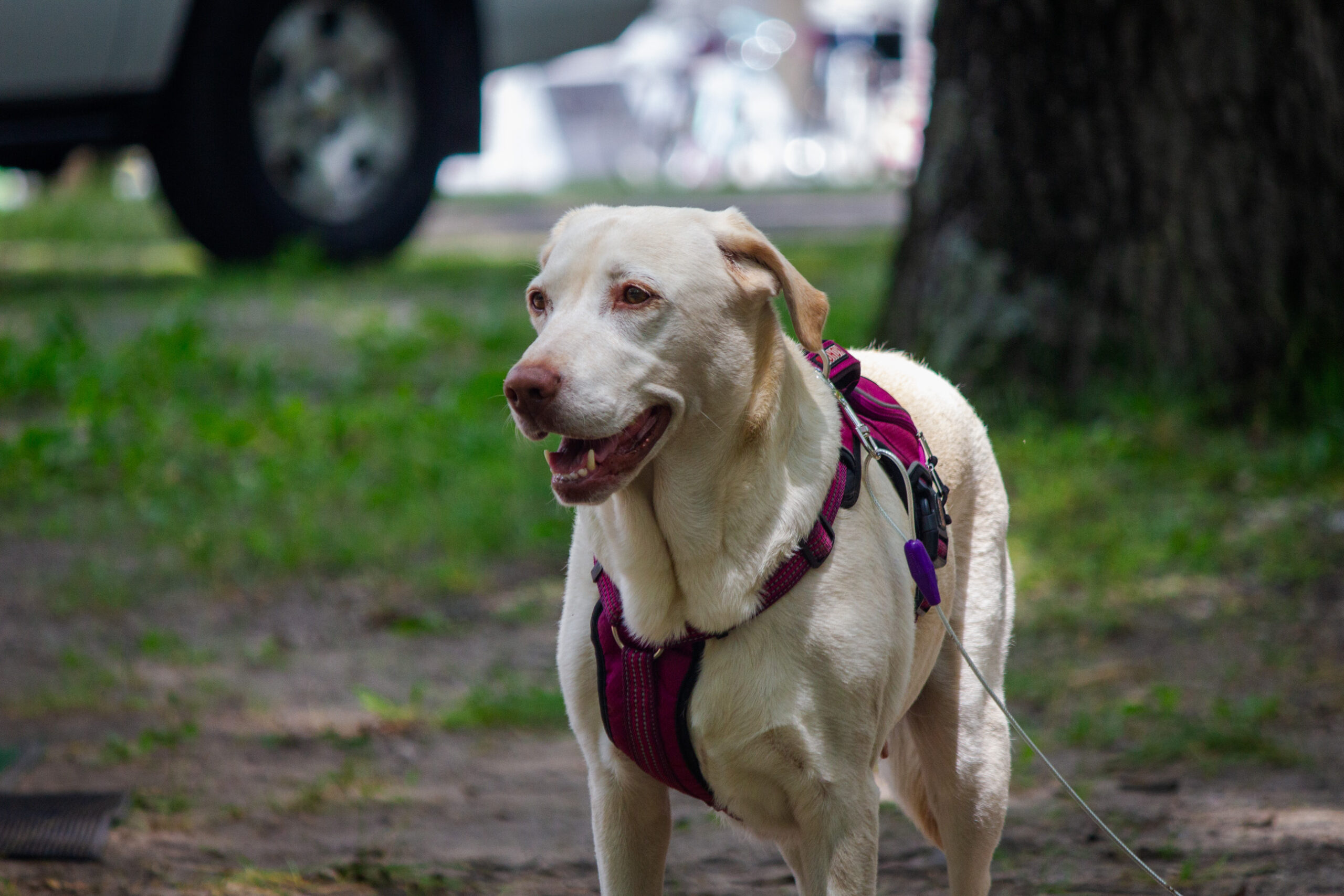 Higgins Lake 2024: Queen